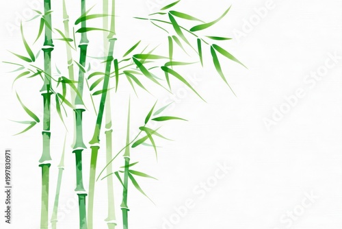 水彩画風の竹のイラスト素材