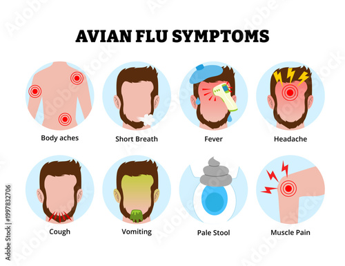 Avian flu symptoms icon. Labeled man body aches, short breath fever headache cough, vomiting pale stool and muscle pain. Contagious viral disease from birds.