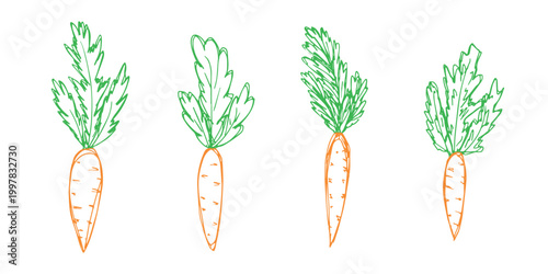 Hand drawn farm carrot plant with green leaves Fresh vegetable doodle set Healthy eco food Organic garden vegetarian food For design, print, packaging, decor, kids books