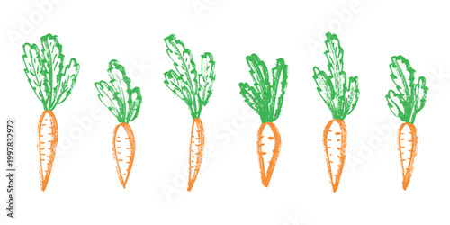 Hand drawn farm carrot plant with green leaves Fresh vegetable doodle set Healthy eco food Organic garden vegetarian food For design, print, packaging, decor, kids books