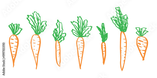 Hand drawn farm carrot plant with green leaves Fresh vegetable doodle set Healthy eco food Organic garden vegetarian food For design, print, packaging, decor, kids books