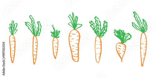 Hand drawn farm carrot plant with green leaves Fresh vegetable doodle set Healthy eco food Organic garden vegetarian food For design, print, packaging, decor, kids books