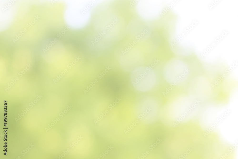 Obraz premium Green nature bokeh, Subtle background in abstract style for graphic design