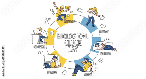 Stylized vector illustration shows a daily routine cycle around the text 'Biological Clock Day', featuring people performing different activities at various times of day against a clean