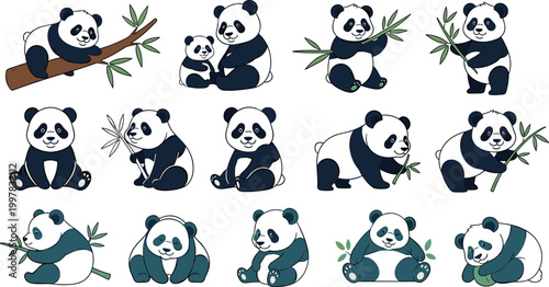 Cute panda cartoon character set with bamboo poses vector illustration collection adorable bear mascot isolated design pack