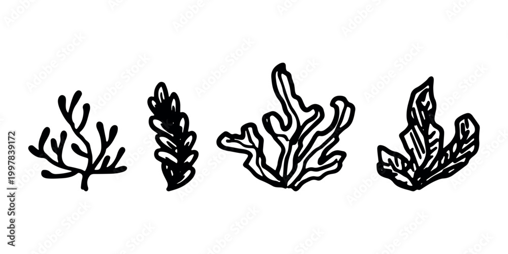 Obraz premium Hand drawn sea coral and seaweed doodle set Tropical underwater flora, aquarium plants, ocean plant, algae, coral reef, leaves, branches