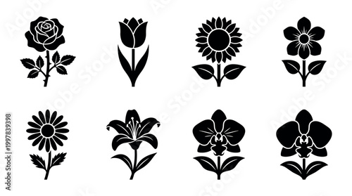 Floral design elements nature illustration black silhouette artistic viewpoint botanical concept