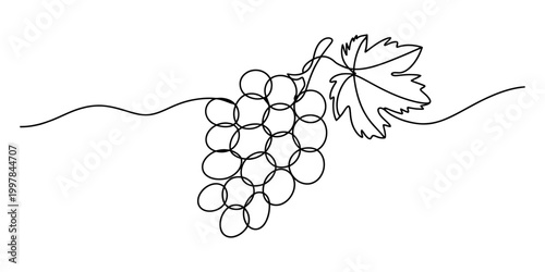Continuous single line drawing of a bunch of grapes with a leaf Vector, illustration