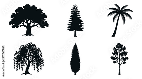 Exploring diverse tree species in nature's landscape botanical illustrations outdoor environment aesthetic view