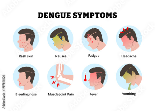Dengue symptoms icon. Labeled man rash skin, nausea fatigue headache, bleeding nose muscle joint pain, fever vomiting. Medical science educational illustration. Viral infection Aedes mosquitoes.