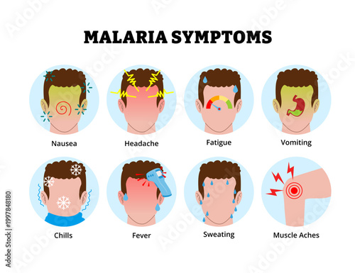 Malaria symptoms icon. Labeled man nausea headache fatigue vomiting chills fever sweating muscle aches. Medical science educational illustration. Plasmodium parasites, Human circulatory system.