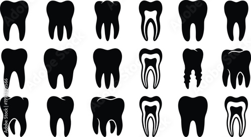 Obraz na płótnie Collection of various human tooth silhouettes including molar bicuspid and anatomical cross section icons isolated on white background for dental healthcare graphic designs
