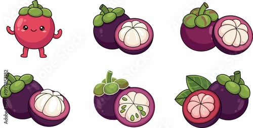 Mangosteen fruit set with whole and cut pieces, cute cartoon character and realistic slices vector illustration collection