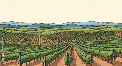 Illustrative panorama of a vineyard with parallel rows of green grapevines on rolling hills leading toward distant blue mountains under a clear pale yellow sky with black outlines.