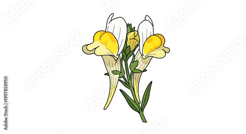 Canvas Print A botanical illustration of yellow and white snapdragon flowers with green leave