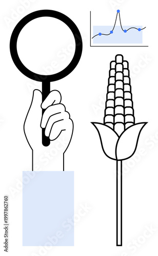 Agricultural research, crop yield analysis, biotechnology, data visualization, food security, farming optimization. A hand holds a magnifying glass near a corn crop and a graph. Agricultural research