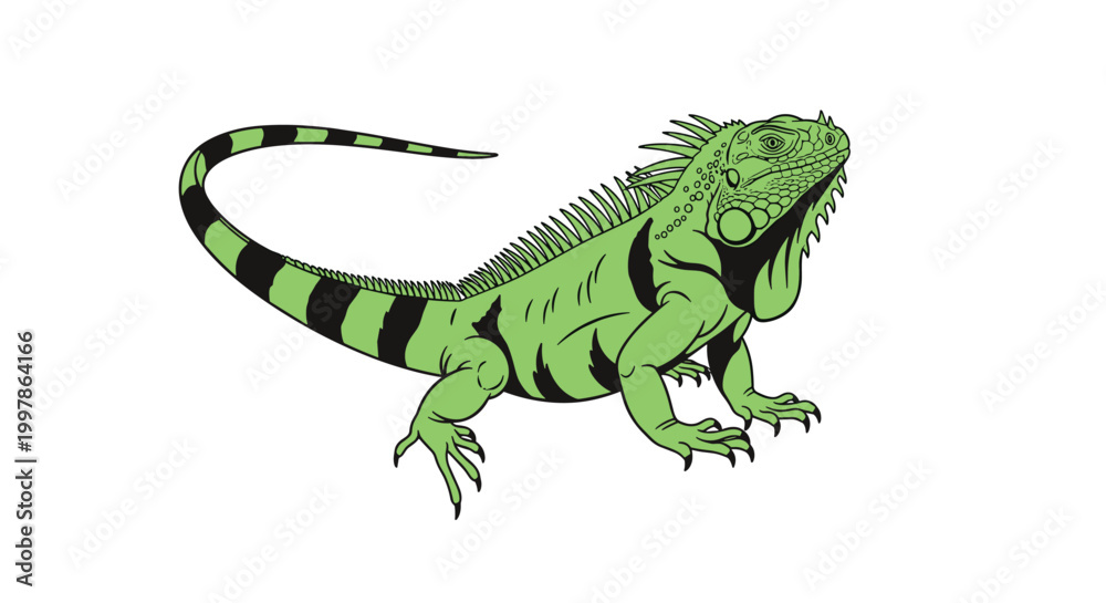 Obraz premium Detailed green iguana illustration captures the scales and features of this exotic lizard with a long striped tail on a white background.