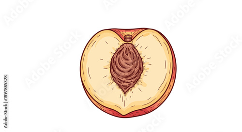 Cross section of a ripe peach fruit showing succulent yellow flesh and a textured brown stone pit in the center.