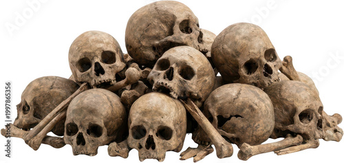 A macabre pile of ancient human skulls and long bones creates a dense unsettling composition representing death and mortality skeleton skeletons morbid antique historical