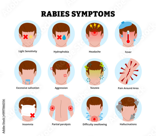 Rabies symptoms icon. Labeled man light sensitivity, hydrophobia, headache, fever, excessive salivation, aggression nausea pain around area insomnia paralysis difficulty swallowing hallucinations.