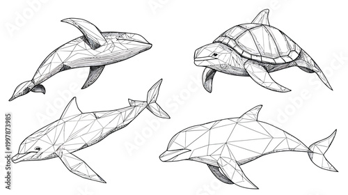 Collection of HandDrawn Marine Animals in Sketch Style.