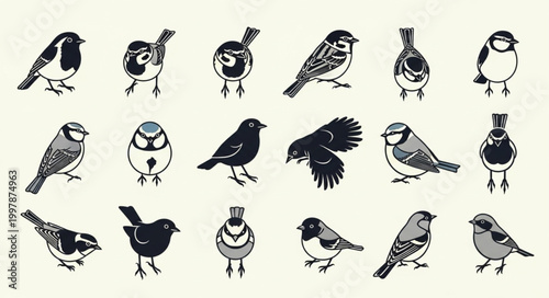 Collection of Small Birds in Various Poses and Styles.