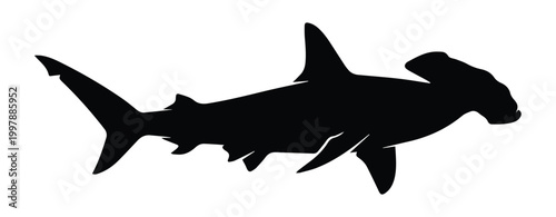 Hammerhead Shark Shape Icon Silhouette Vector black design on a white background