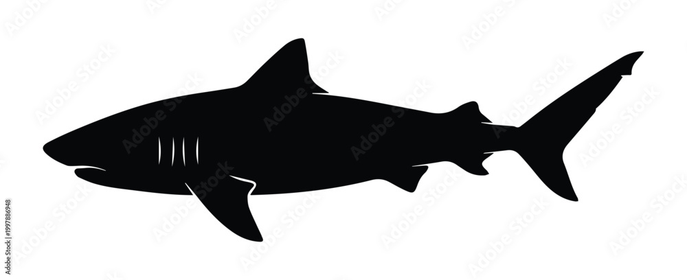 Fototapeta premium Tiger Shark Shape Icon Silhouette Vector black design on a white background