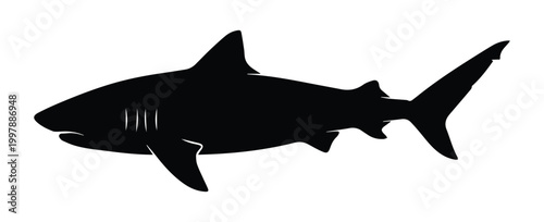 Tiger Shark Shape Icon Silhouette Vector black design on a white background