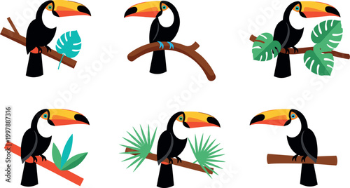 Toucan bird set with branches and tropical leaves, colorful exotic wildlife cartoon vector illustration for jungle and nature design