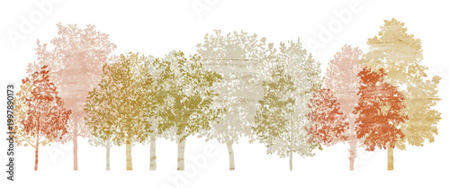 Architectural Minimal CAD Tree Autumn Line Drawing Set, Wetland Forest Section Outline Side View Elements for Landscape Design, Vector Illustration with Separate Editable Elements