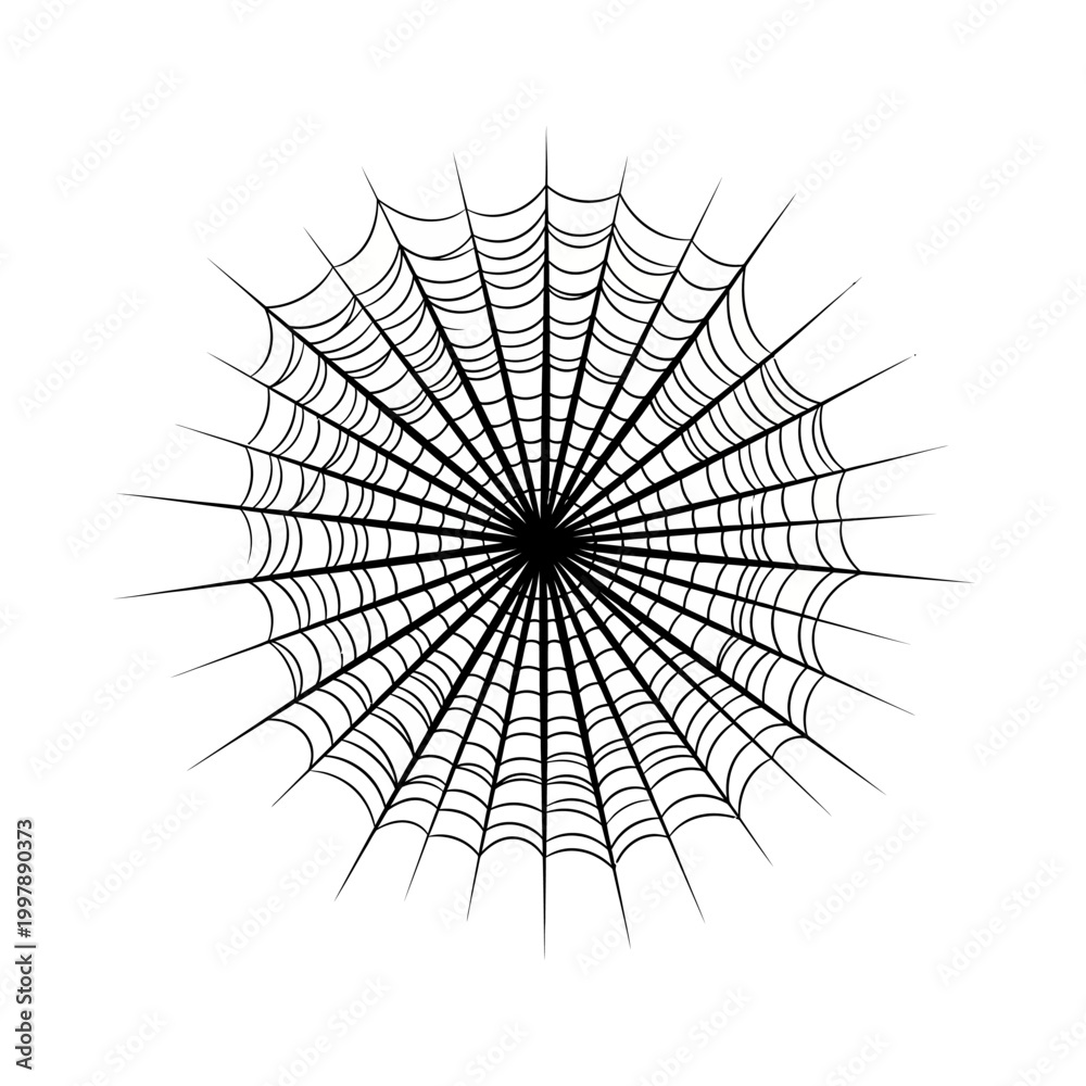 Obraz premium Intricate Spider Web Design, Radial Pattern, Black and White, Macro Detail