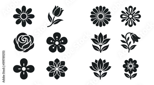 Collection of various beautiful floral silhouette icons