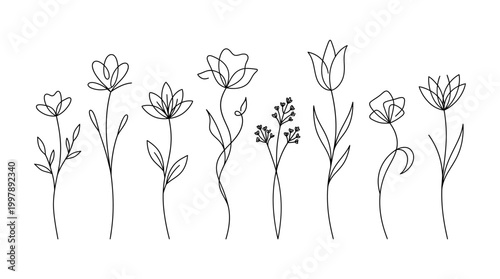 Minimalist Line Art Flowers Collection Elegant Floral Botanical Illustrations