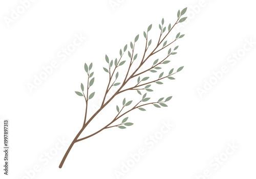 Delicate Branch with Small Green Leaves on White Background.