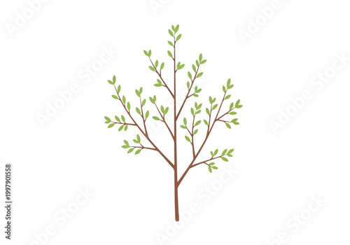 Delicate Branch with Young Green Leaves Illustration.