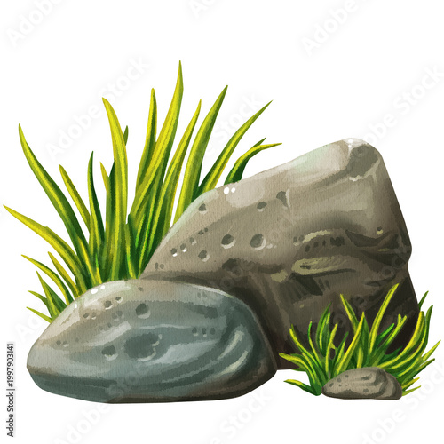 Canvas Print rocks and stones with grass