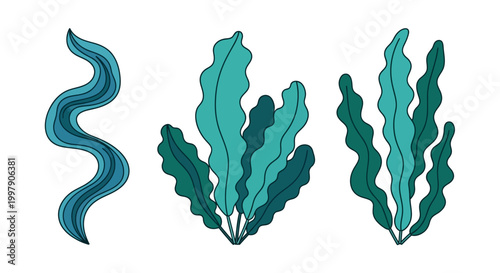 Stylized Seaweed Illustrations: Wavy Kelp and Algae in Shades of Blue and Green