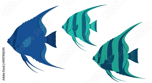 Three Angelfish Swimming Together: Blue and Teal Striped Marine Life