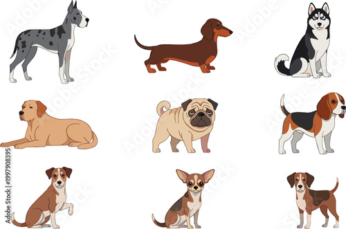 Flat Style Dog Breed Collection with Great Dane, Dachshund, Husky, Pug, Beagle, Chihuahua, and Boxer for Pet and Animal Designs