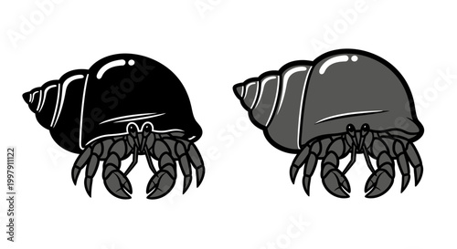Two hermit crabs in shells, one black and one gray, isolated on white background