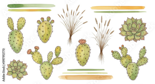 Beautiful Watercolor Cacti and Succulents Collection with Natural Brush Strokes