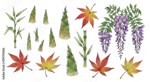 Set of Japanese autumn maple leaves and bamboo sprouts with wisteria