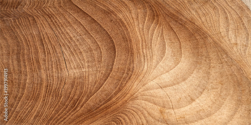 A closeup of a natural brown wood texture background shows the macro pattern of a round timber log surface with a textured tree ring design on a cut stump board