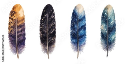 A charming watercolor set of feathers featuring speckled patterns and rich blue purple and golden tones illustrated in a natural hand painted style.