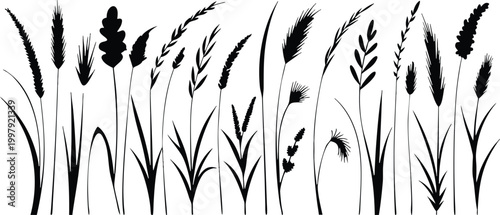 Green Fresh Grass Nature Vector