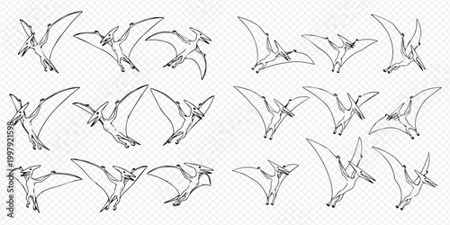 Set of Pterodactylus flying dinosaurs in various poses, hand-drawn outline vector illustration.