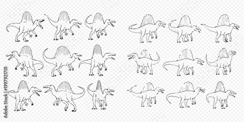 Spinosaurus dinosaur line art vector illustration set in various poses.