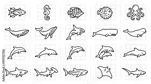 Marine animals illustrations set.