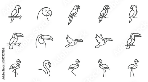 Variety of Flamingo Bird Illustrations.